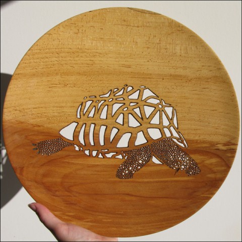 Tortoise Platter