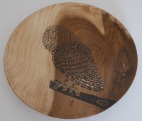 Owl Plate